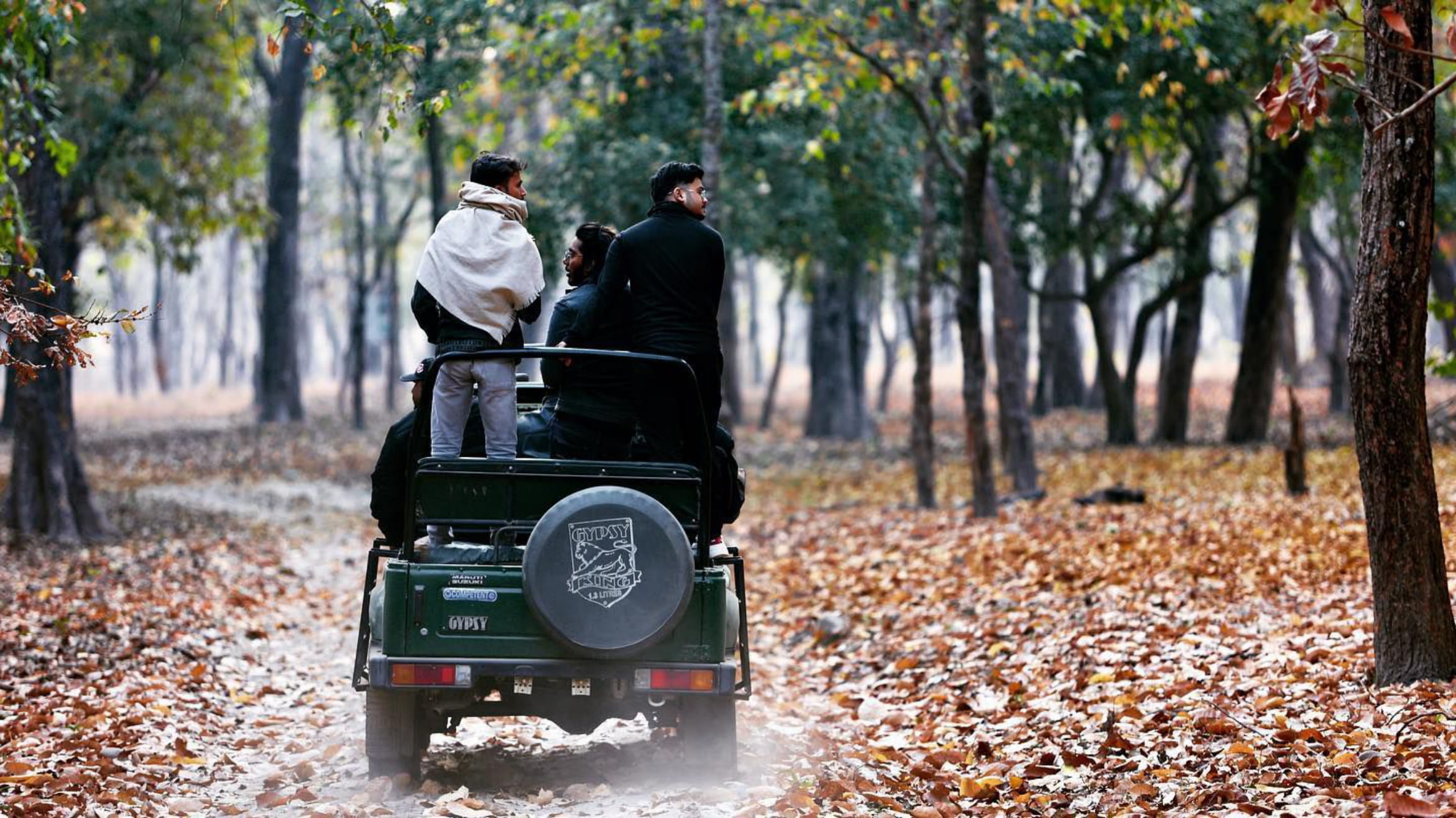Valmikinagar Tiger Reserve - Image 1
